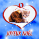 Coeur chien et chat no�l