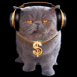 Chat super Bling-Bling