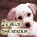 Chiot labrador "Je veux des bisous"