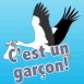 Cigogne "C'est un gar�on!"